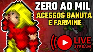 Acessos EK RUSH LVL 150  Ek Do zero ao Mil  Tibia [upl. by Gilmer]