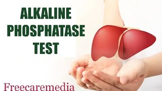 Alp test malayalam Alkaline phosphatase testliver livercancer liverfunction [upl. by Leontine]