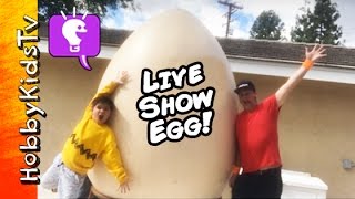 Giant LiVE SHOW Egg  Surprise Toys with HobbyKidsTV [upl. by Zurn]