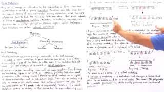 Point Mutations BasePair Substitutions [upl. by Gunter]