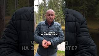 Чем завтракает Илья Лазерсон лазерсон завтрак shortvideo [upl. by Kipper721]