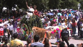 Reportajes de Alvarado  Fiesta de la Vendimia Parras de la Fuente Coah [upl. by Anyalram]