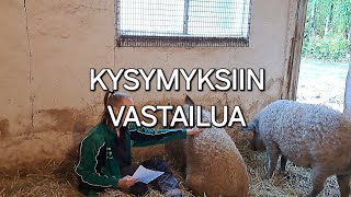 Kysymyksiin vastailua [upl. by Elohcin]