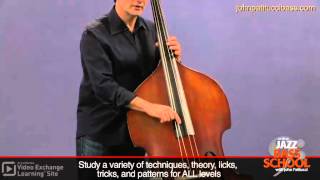 Jazz Bass Lessons with John Patitucci Right Hand Position [upl. by Yramanna]