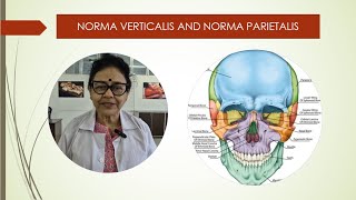 Norma verticalis and norma lateralis [upl. by Cassius]