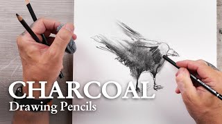 CRETACOLOR  CHARCOAL  Fine Art Charcoal Pencils  CROW [upl. by Philippa]