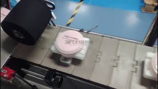 Automatic Flat Suface Labeling Machine for Air Cushion Compact 1 [upl. by Magnus688]