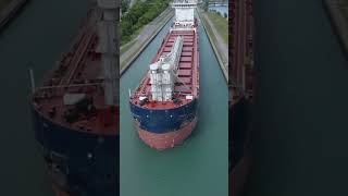 Algoma Intrepid  Welland Canal shorts ship [upl. by Hayarahs]