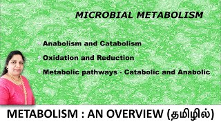 Microbial metabolism  Anabolism amp Catabolism  Oxidation and Reduction  TAMIL  Dr Blessy [upl. by Magda]