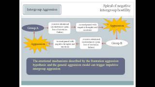 Intergroup Relations Causes [upl. by Bobbie]