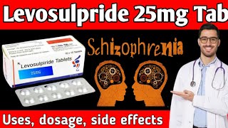 Levosulpiride tablets 25 mg in hindi  Levosulpiride 25 mg tablet  Lesuride 25 mg tablet uses 🔥🔥🔥 [upl. by Annie6]