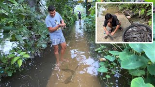 LUBOG SA BAHA NAGKALAT ANG MALALAKING ISDA SA HARAP NG BAHAY BUHAY PROBINSYA PHILIPPINES BAGYO [upl. by Jeuz732]