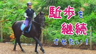 駈歩継続のコツを紹介！ [upl. by Fatima]