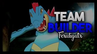 Feraligatr Team Builder Pokemon Heart Gold and Soul Silver [upl. by Sgninnej]