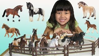 Horses Schleich Safari Toys Animal Figures 4 Year Old Entire Collection for Kids [upl. by Sivra]