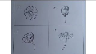 Pencil Drawing Flowers  How to Draw Flowers With Pencil Sketch  Flowers Drawing Step by Step [upl. by Maribeth]