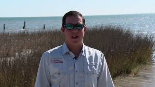 Texas Fishing Tips Fishing Report 61324 Baffin Bay Area With CaptGrant Coppin [upl. by Arenahs]