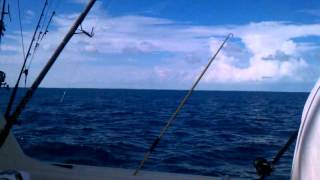 2daycruisecom  Part 2  Islamorada Florida Keys fishing on the Dog House boat [upl. by Ingamar]