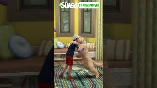 top DODATKI do SIMS 4 ze ZWIERZĘTAMI 🐕 [upl. by Lesoj]