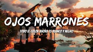 Lasso  Ojos Marrones LetrasLyrics [upl. by Hezekiah]