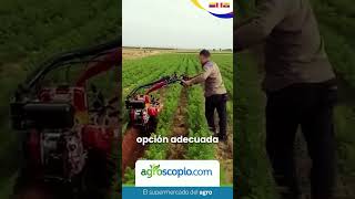 ¿Conoces las ventajas de la maquinaria agrícola 🚜 [upl. by Nimaynib]