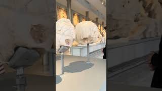 Museum of Acropolis [upl. by Constant]