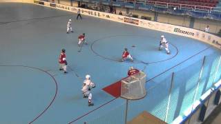 Roller Hockey  France  République Tchèque amical [upl. by Subak797]