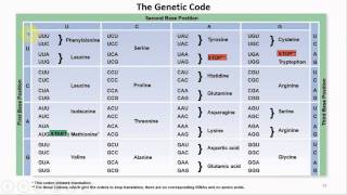 Chapter 08 Microbial Genetics and Genetic Engineering  Cowan  Dr Mark Jolley [upl. by Tnek]