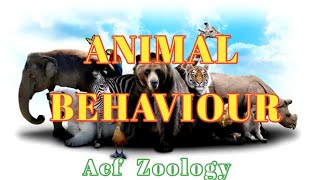 Instinctive Behaviour  Animal Behavior  Bsc zoology  UPSC ZOOLOGY  Rpsc Zoology  msc zoology [upl. by Kaliski]