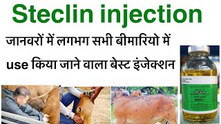 Steclin injection uses in hindioxytetracycline hcl injection uses in hindioxy veterinary injection [upl. by Danyette]