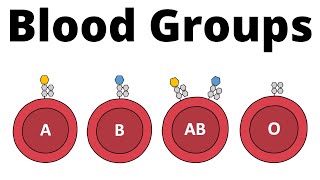 ABO Blood Group System AB0 Blood types amp compatibility explained [upl. by Ylrebma]