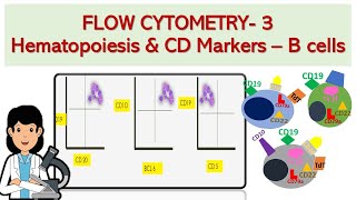 Flow cytometry 3  Acute lymphoblastic leukemia amp lymphoma  What you NEED to know [upl. by Laekcim]