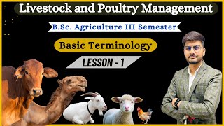 Livestock and Poultry Management for BSc Agriculture II Basic Terminology II [upl. by Sulihpoeht]