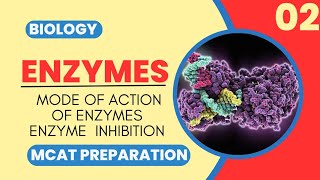 Mcat Biology Class 2  MODE OF ACTION OF ENZYMES AND ENZYMES INHIBITION [upl. by Broucek]