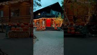 happyhalloween pumkins cabinhouse cabin coupeville washington [upl. by Casi]