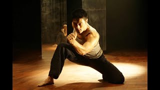 The Top 20 Martial Art Fight Scenes Part 1 [upl. by Marlo698]