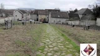 Champagne Bollinger  clos de vignes en foule pour élaborer la Cuvée Vieilles Vignes Françaises [upl. by Drape]