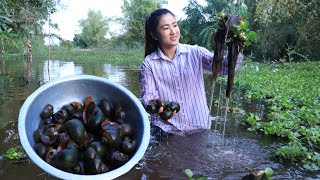 It has a lot of snail in my village lake I catch them for cooking  Cooking with Sreypov [upl. by Anaik]