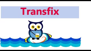 Transfix [upl. by Isus]