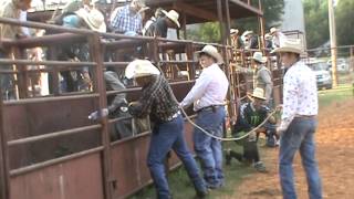 Jr bull riding in foreman arkansas [upl. by Oigaib]