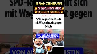 💥EIL💥 SCHOLZ mächtig SAUER⚡ spd bsw afd brandenburg scholz wagenknecht politik weidel cdu [upl. by Aleydis]