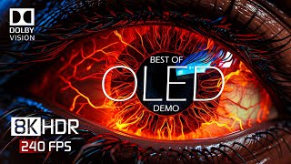 8K HDR 240 FPS Dolby Vision  Special OLED Demo [upl. by Porter911]