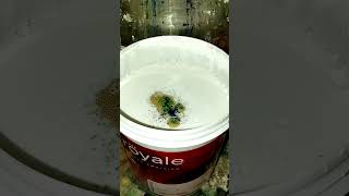 Royal emulsion shade making coad2420GREEN SLEEVES asianpaint colors ytshorts viralvideo [upl. by Johny211]