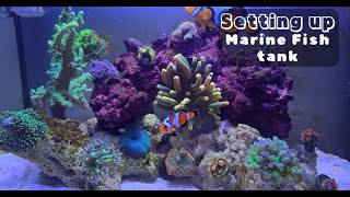 How to Set Up a Marine Fish Aquarium Shopping for Saltwater Tank  Basics of Fish Tank for Beginner [upl. by Kamillah713]