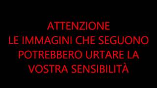 Alcune immagini dal fiume Magra dopo il ritrovamento di un cadavere [upl. by Detta]