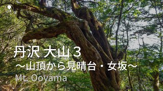 丹沢 大山３ 山頂から見晴台を経由して女坂へ【登山・日帰り・車・2021年12月】神奈川県 丹沢大山国定公園 日本三百名山 関東百名山Tanzawa Mountains [upl. by Carola809]