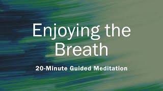 Enjoying the Breath  20Minute Guided Meditation [upl. by Nillek]