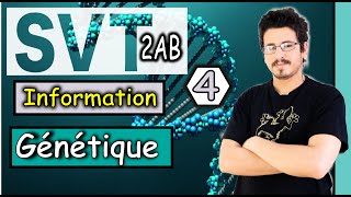 Composition chimique et structure de l’ADN  Part 4 [upl. by Reffotsirhc]