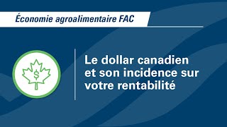 Le dollar canadien et son incidence sur votre rentabilité  Économie agroalimentaire FAC [upl. by Nella]