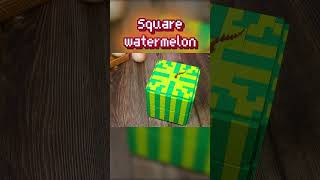 LEGO Square WaterMelon Dessert 🍧🍉 lego legoanimation asmr [upl. by Refenej90]